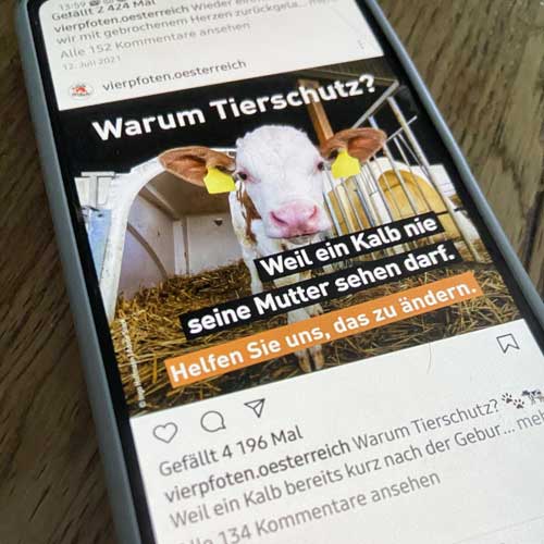 VIER PFOTEN: Warum Tierschutz?